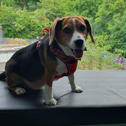 PHOTO-2023-05-24-15-36-14-edited